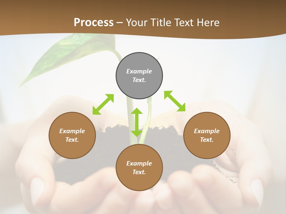 Sprout Grow Cultivated PowerPoint Template