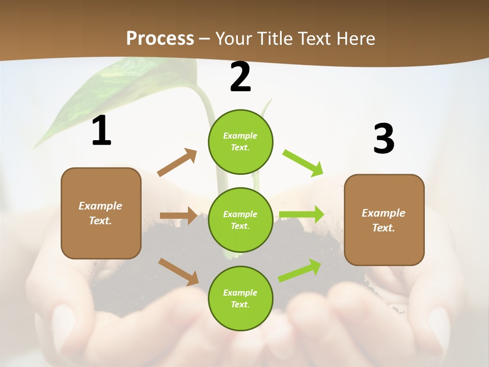 Sprout Grow Cultivated PowerPoint Template