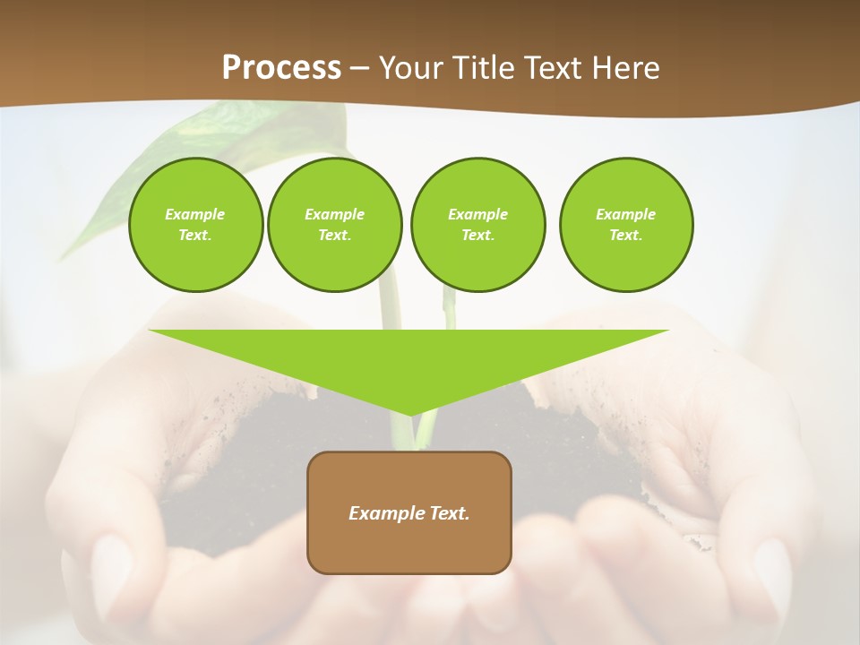 Sprout Grow Cultivated PowerPoint Template