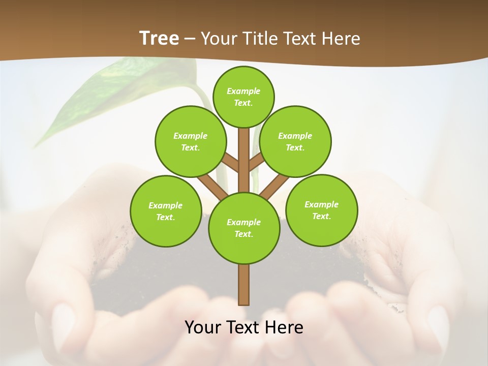Sprout Grow Cultivated PowerPoint Template