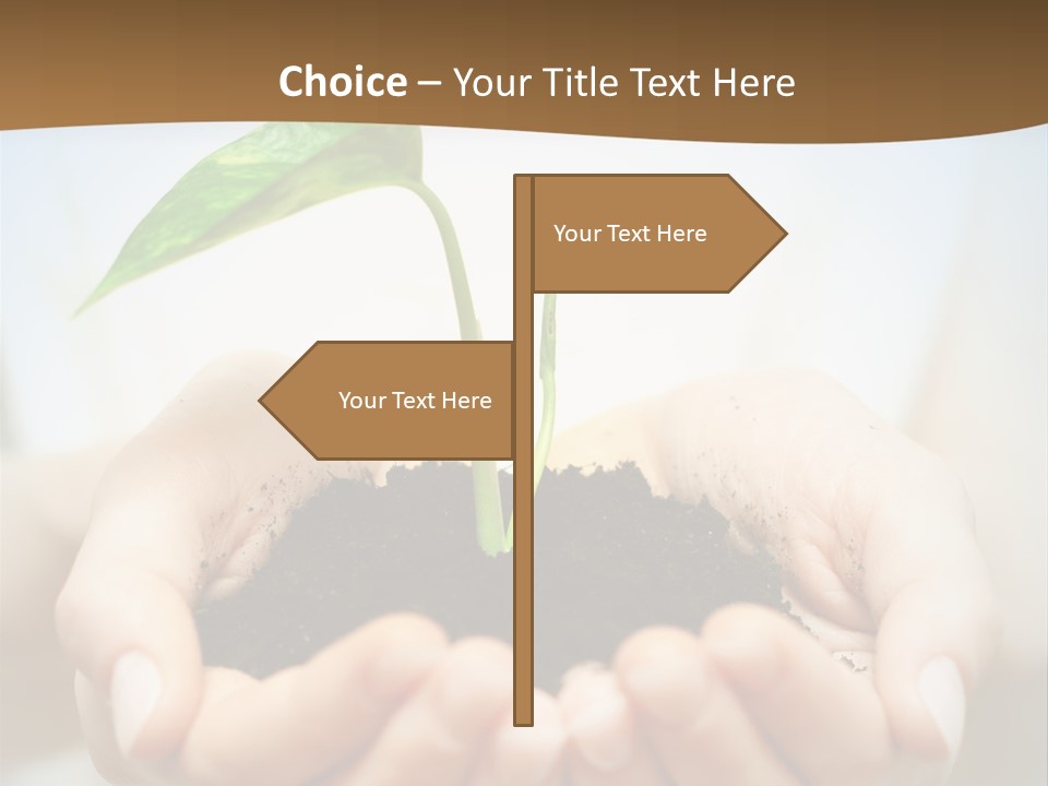 Sprout Grow Cultivated PowerPoint Template