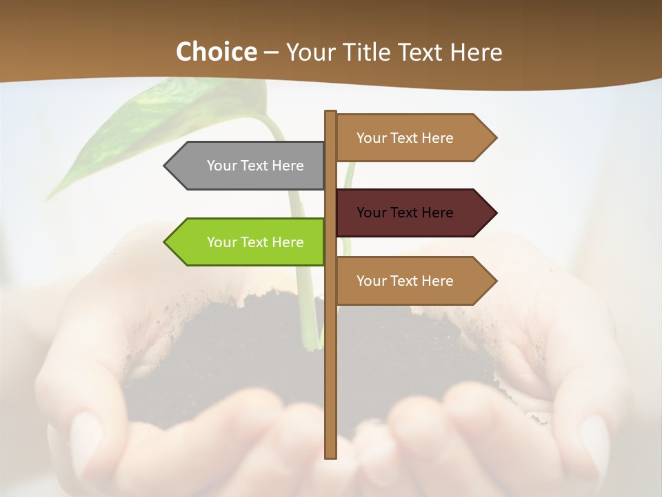 Sprout Grow Cultivated PowerPoint Template