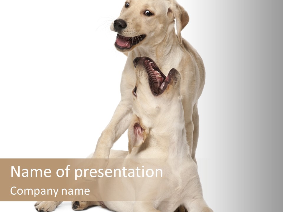 Beige Togetherness Vertebrate PowerPoint Template