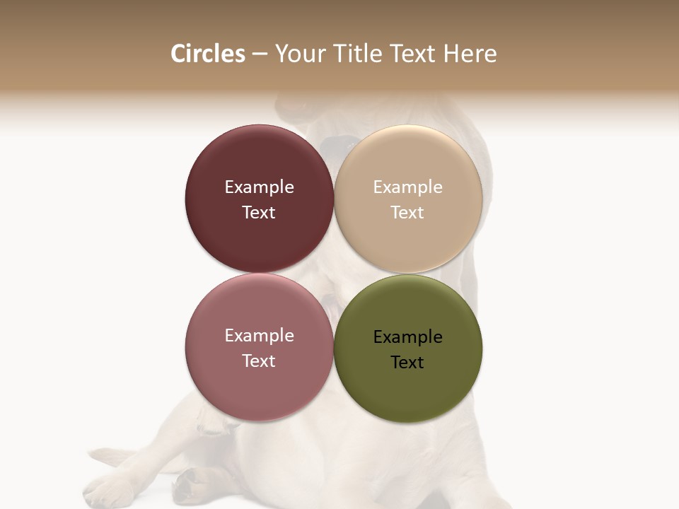 Beige Togetherness Vertebrate PowerPoint Template