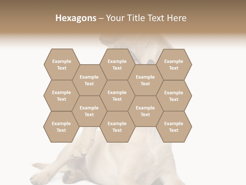 Beige Togetherness Vertebrate PowerPoint Template
