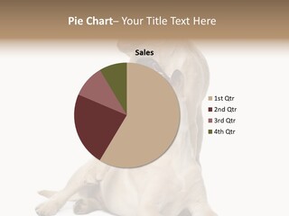 Beige Togetherness Vertebrate PowerPoint Template