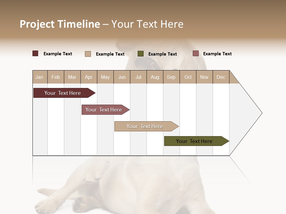 Beige Togetherness Vertebrate PowerPoint Template