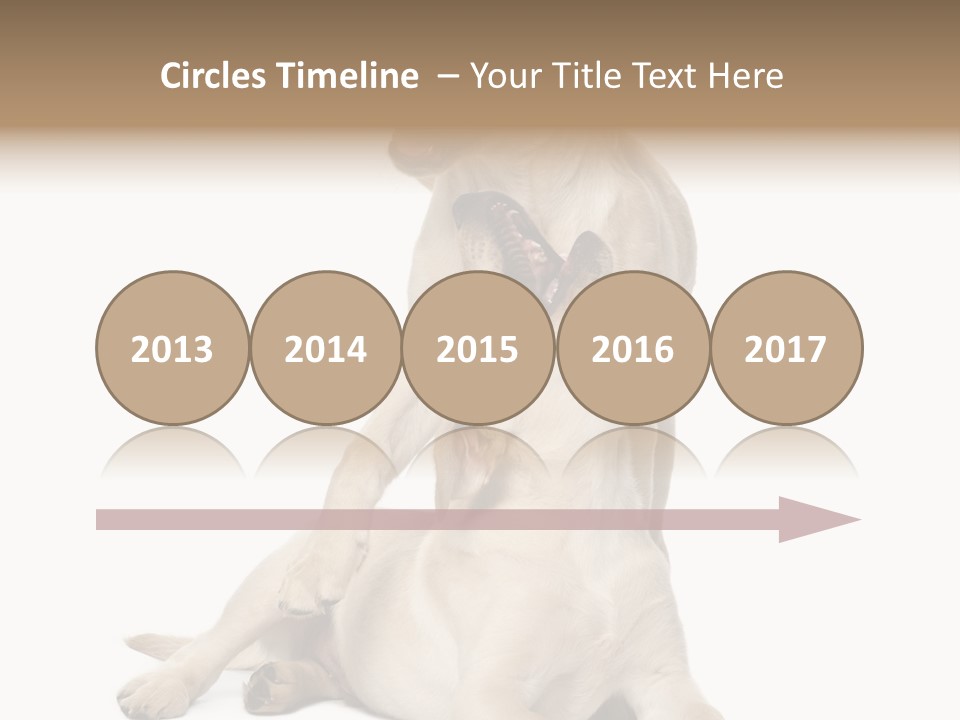 Beige Togetherness Vertebrate PowerPoint Template