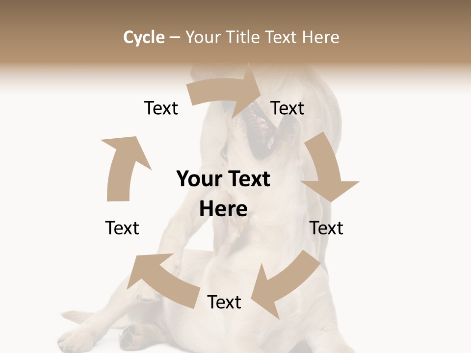 Beige Togetherness Vertebrate PowerPoint Template