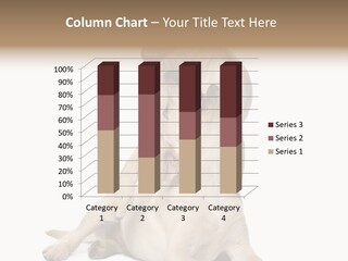 Beige Togetherness Vertebrate PowerPoint Template