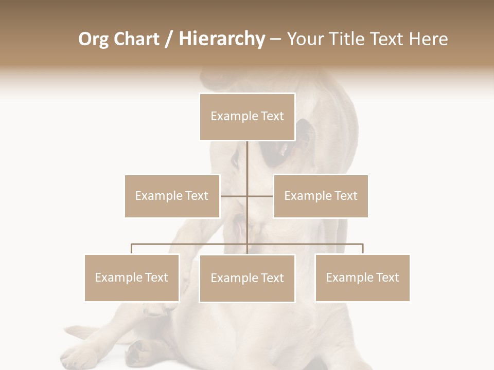 Beige Togetherness Vertebrate PowerPoint Template