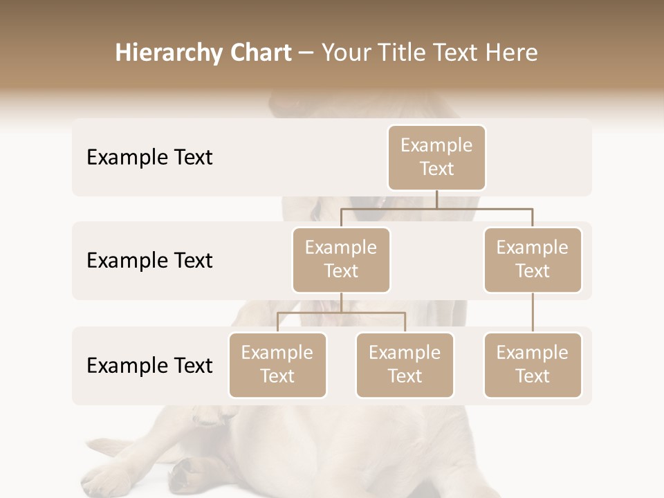 Beige Togetherness Vertebrate PowerPoint Template