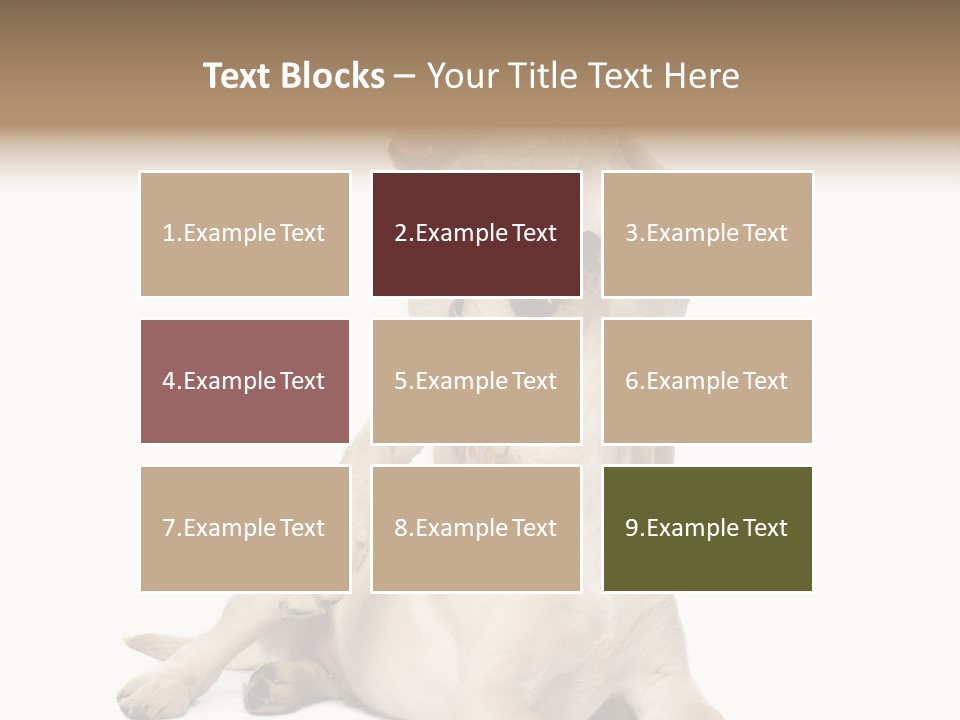 Beige Togetherness Vertebrate PowerPoint Template