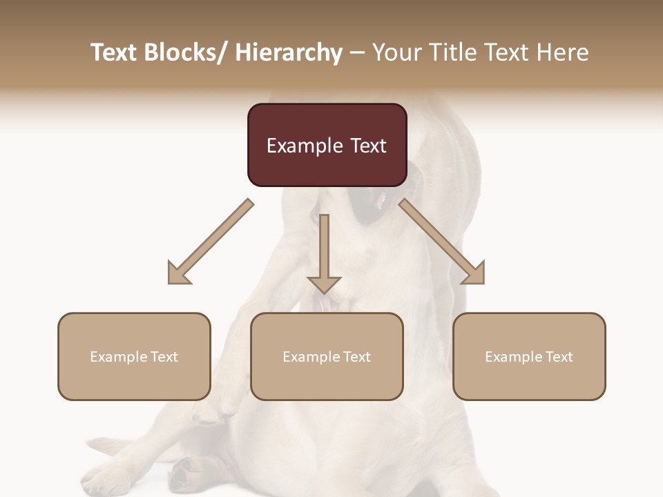 Beige Togetherness Vertebrate PowerPoint Template