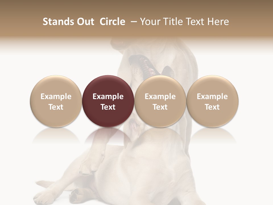 Beige Togetherness Vertebrate PowerPoint Template