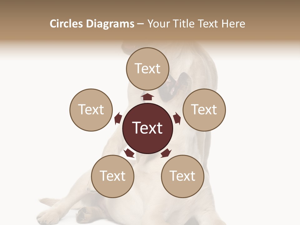 Beige Togetherness Vertebrate PowerPoint Template