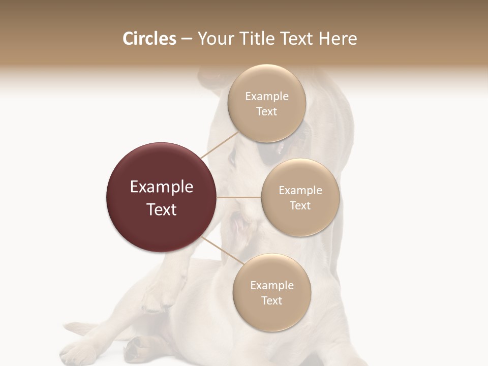 Beige Togetherness Vertebrate PowerPoint Template