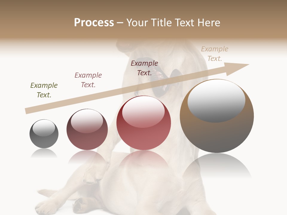 Beige Togetherness Vertebrate PowerPoint Template
