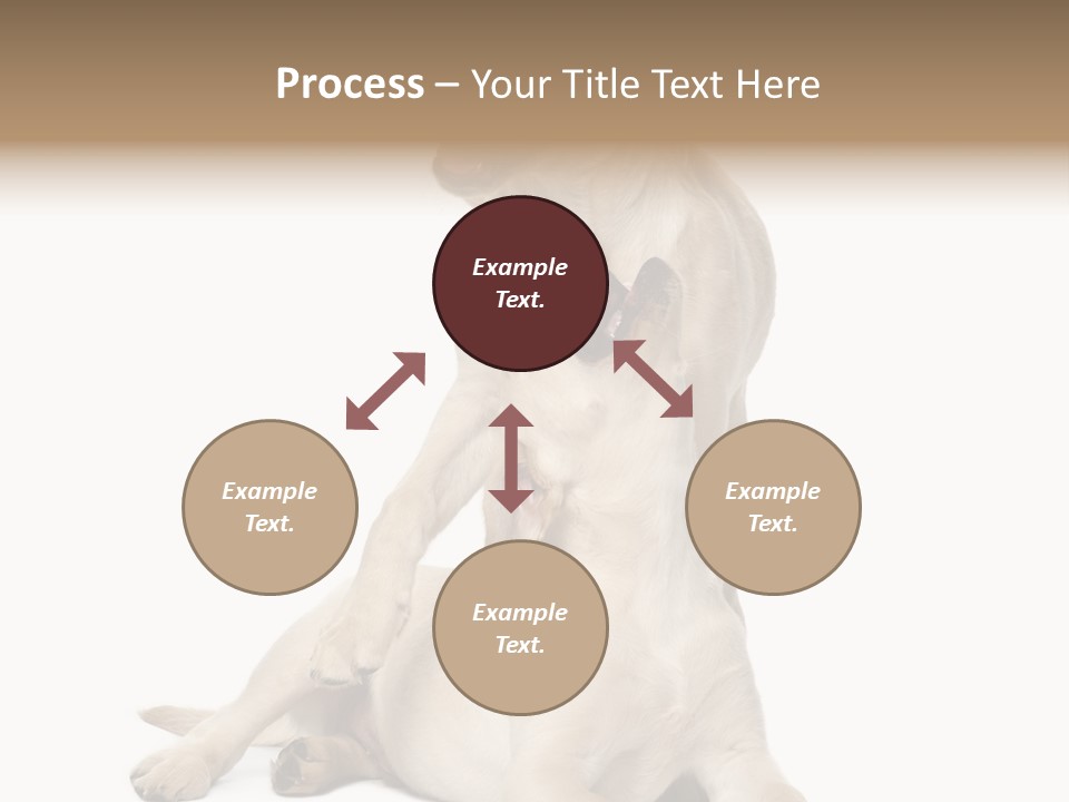 Beige Togetherness Vertebrate PowerPoint Template