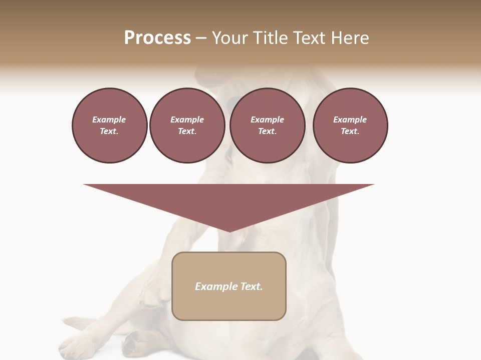Beige Togetherness Vertebrate PowerPoint Template