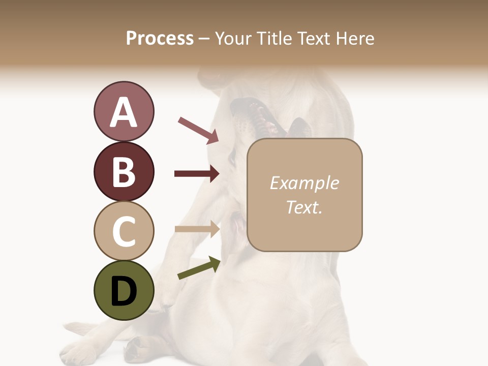 Beige Togetherness Vertebrate PowerPoint Template