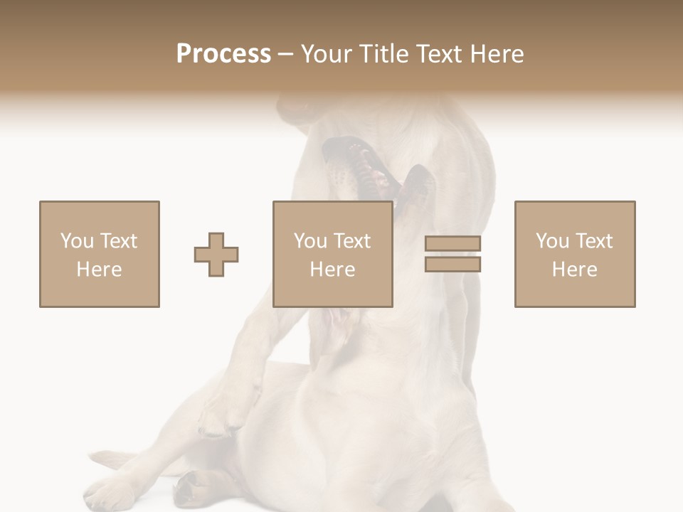 Beige Togetherness Vertebrate PowerPoint Template