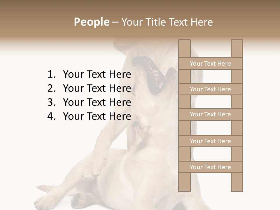 Beige Togetherness Vertebrate PowerPoint Template