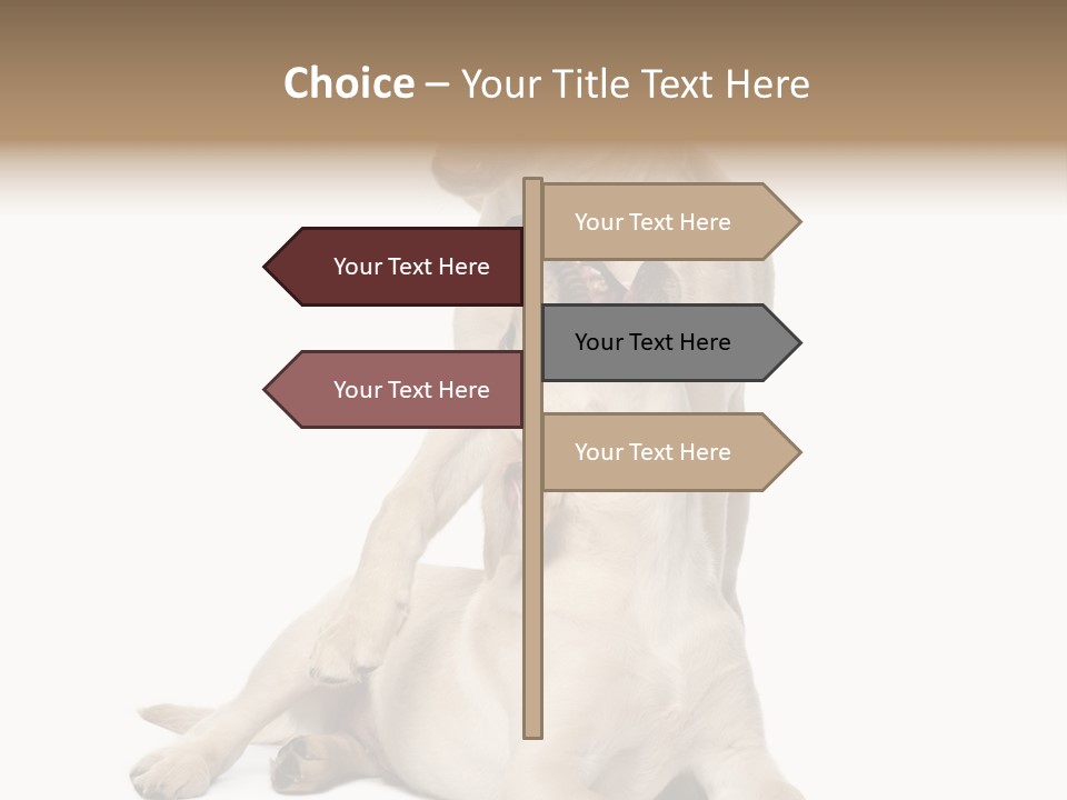 Beige Togetherness Vertebrate PowerPoint Template