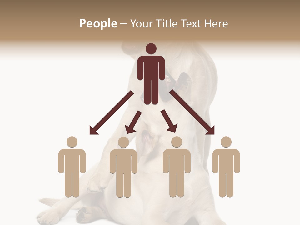 Beige Togetherness Vertebrate PowerPoint Template