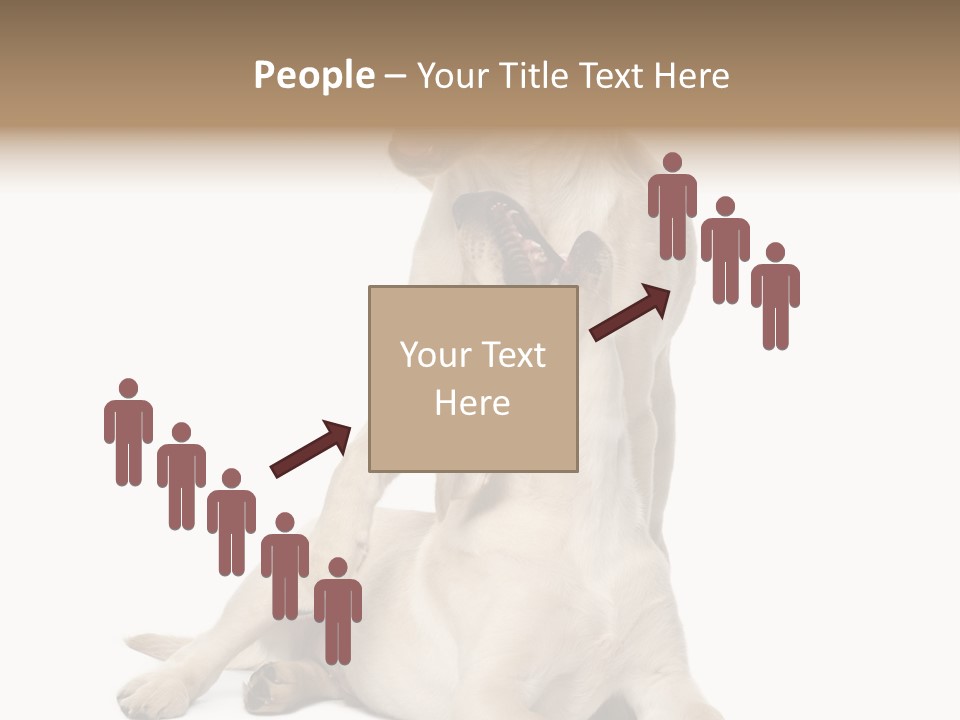 Beige Togetherness Vertebrate PowerPoint Template