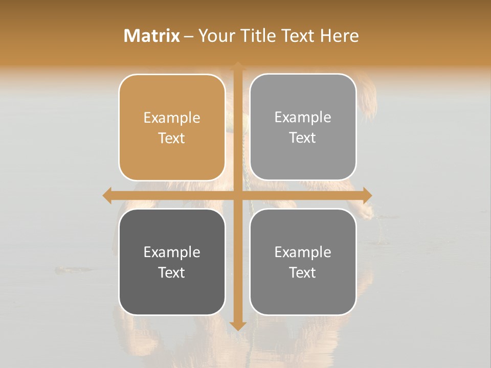 Canine Dogs Golden PowerPoint Template