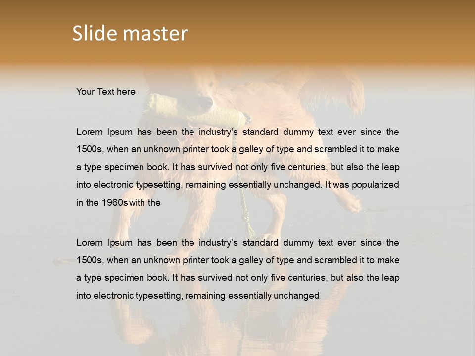 Canine Dogs Golden PowerPoint Template