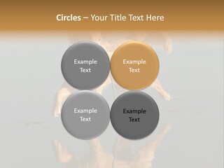 Canine Dogs Golden PowerPoint Template