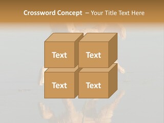 Canine Dogs Golden PowerPoint Template