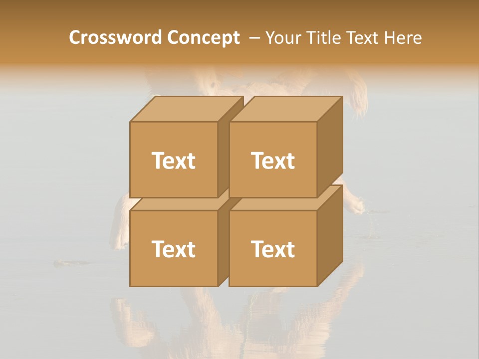 Canine Dogs Golden PowerPoint Template