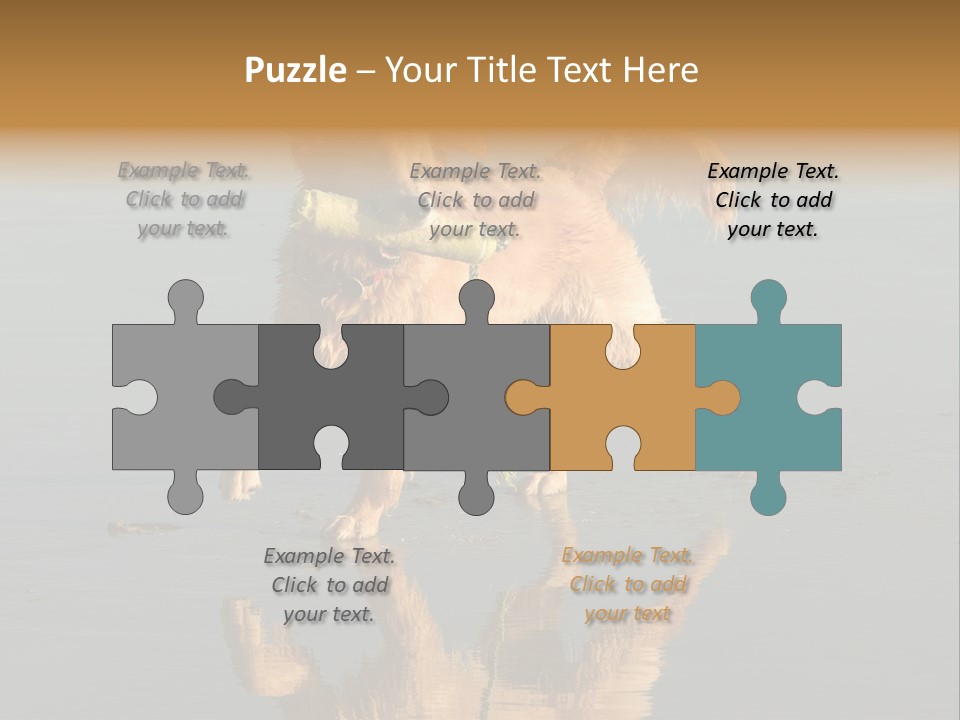 Canine Dogs Golden PowerPoint Template