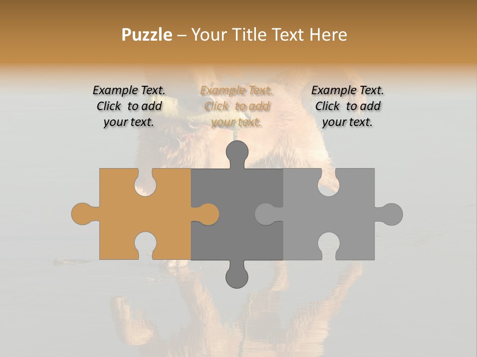 Canine Dogs Golden PowerPoint Template