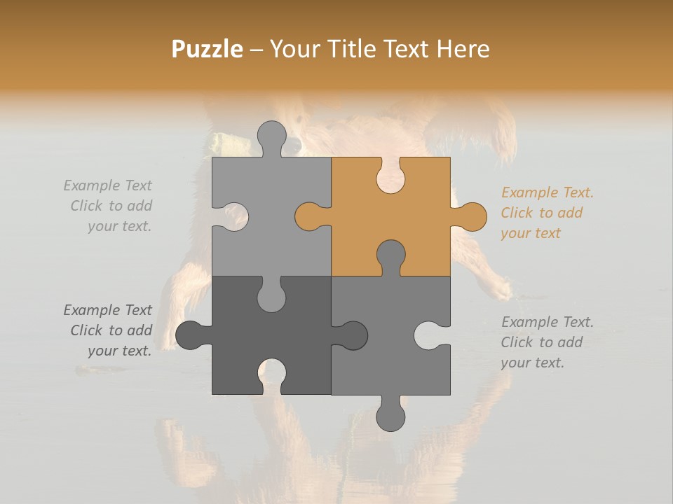 Canine Dogs Golden PowerPoint Template