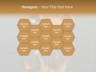 Canine Dogs Golden PowerPoint Template