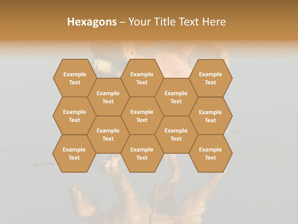 Canine Dogs Golden PowerPoint Template