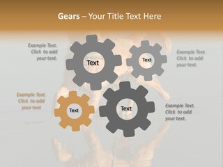 Canine Dogs Golden PowerPoint Template