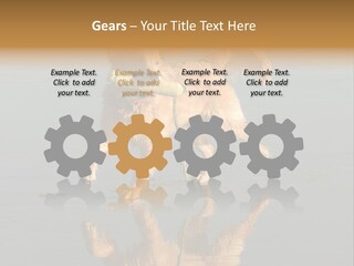 Canine Dogs Golden PowerPoint Template