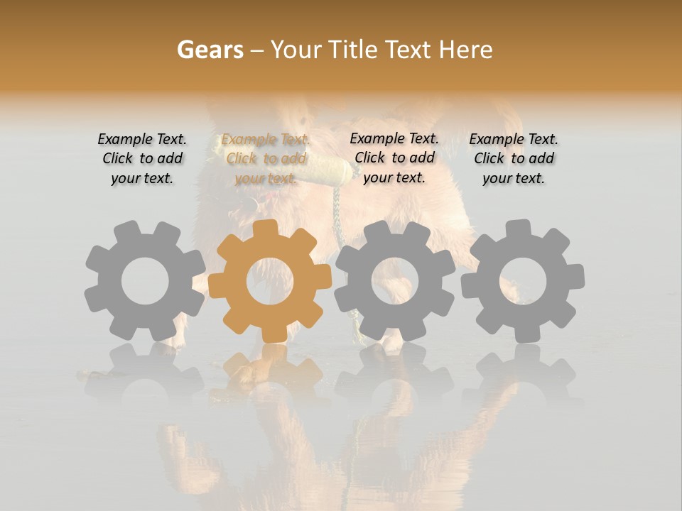 Canine Dogs Golden PowerPoint Template