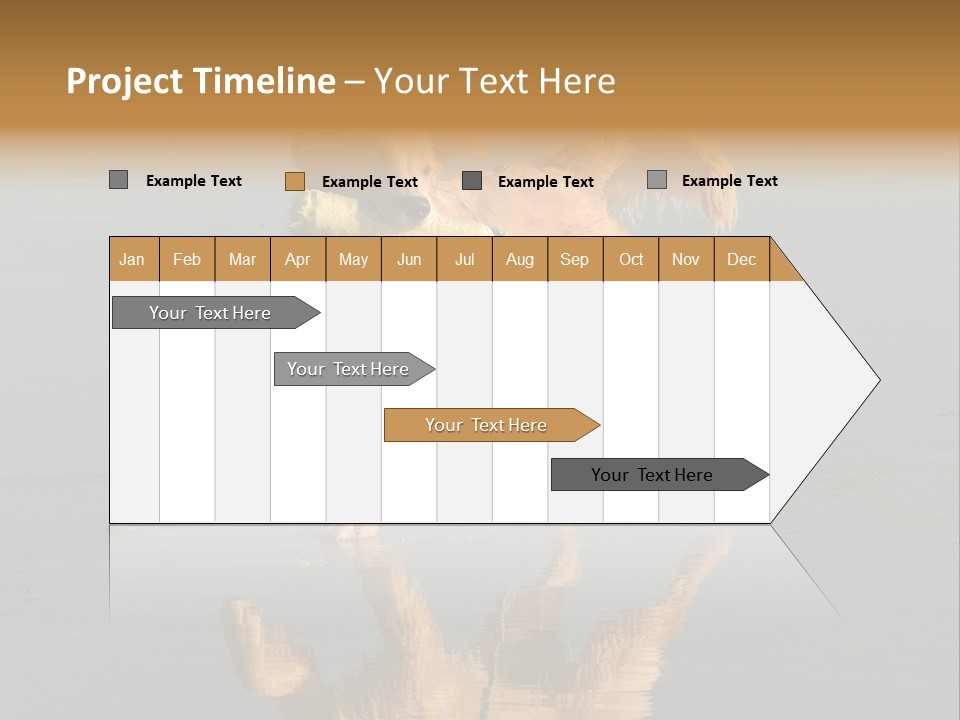 Canine Dogs Golden PowerPoint Template