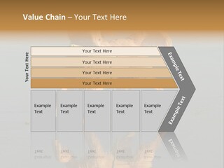 Canine Dogs Golden PowerPoint Template