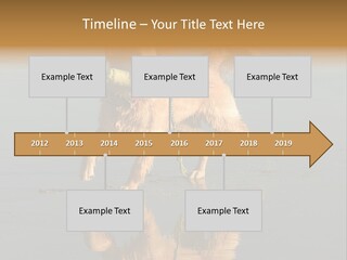 Canine Dogs Golden PowerPoint Template