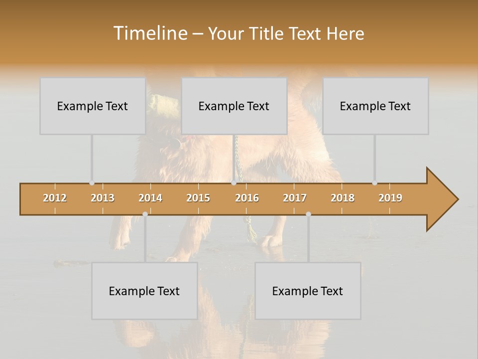 Canine Dogs Golden PowerPoint Template