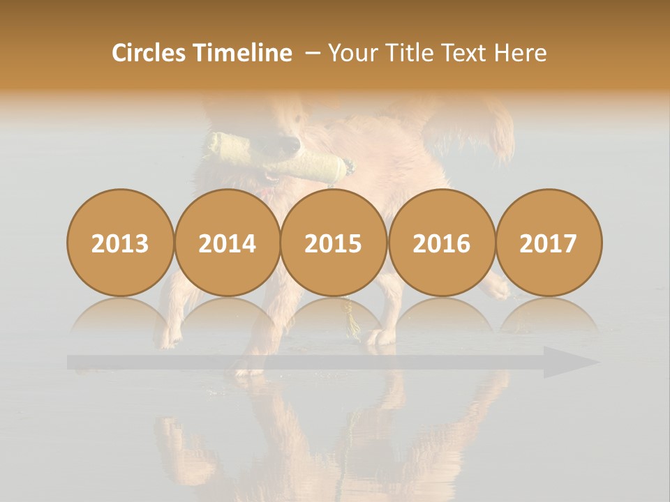 Canine Dogs Golden PowerPoint Template