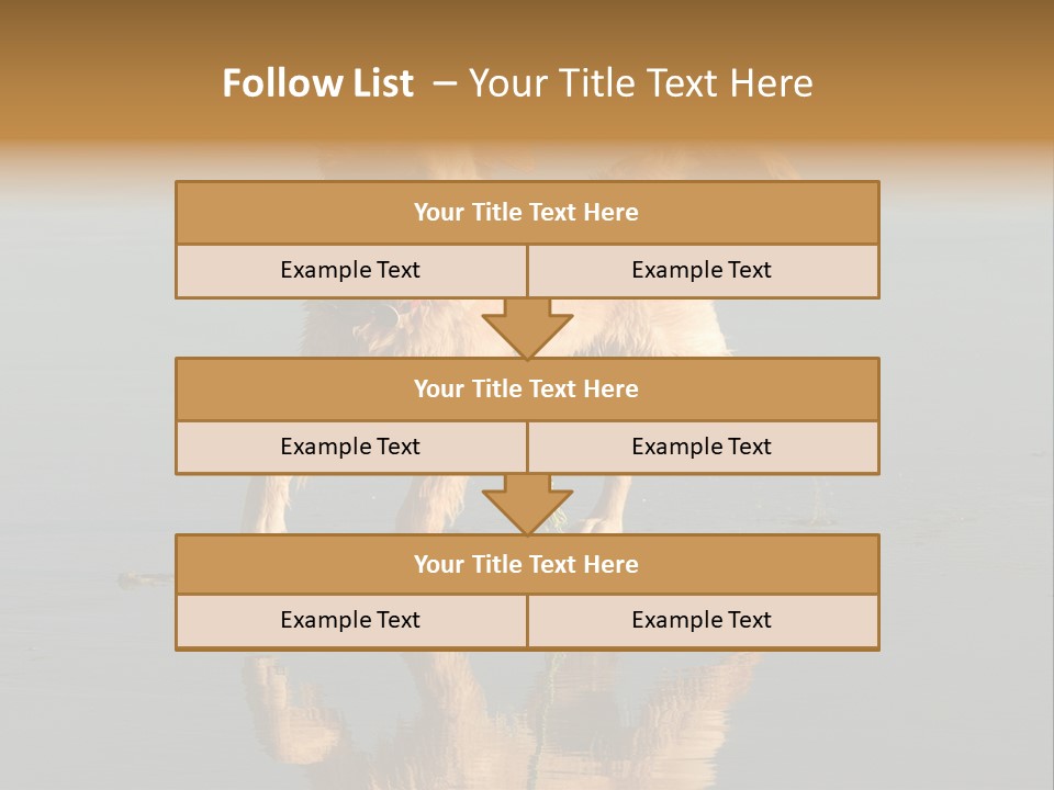Canine Dogs Golden PowerPoint Template