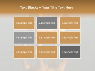 Canine Dogs Golden PowerPoint Template